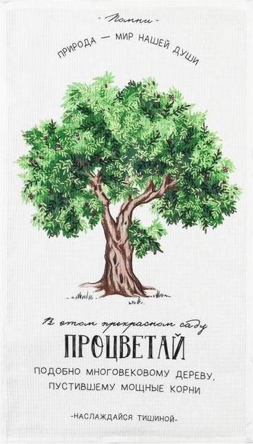 Полотенце кухонное Доляна «Процветай», 35х60 см, 100% хл, 160г/м2